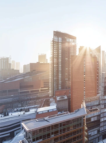 Image Client Property