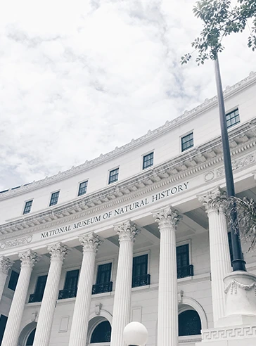 Image Client SOEs/Government